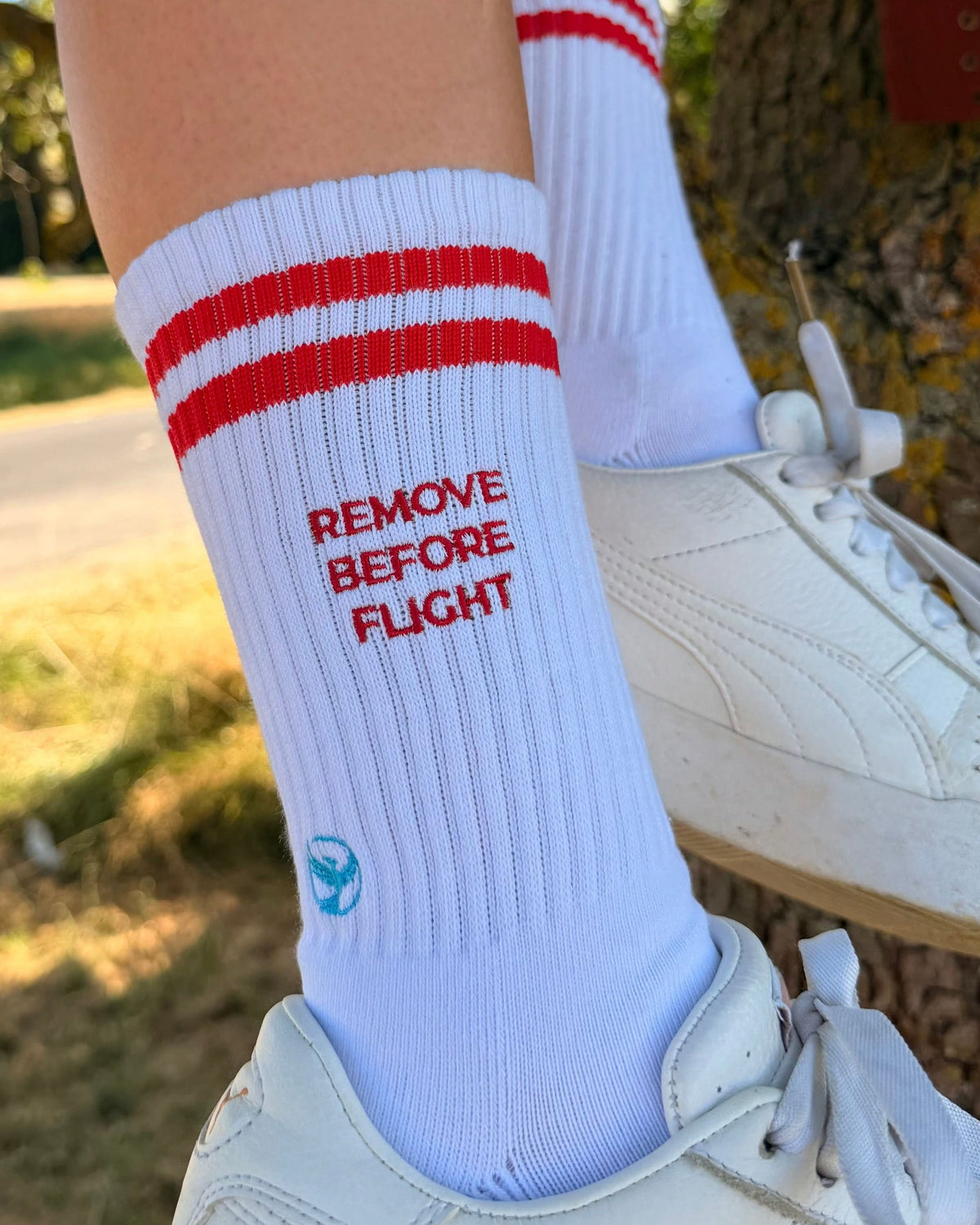 REMOVE BEFORE FLIGHT - Socks