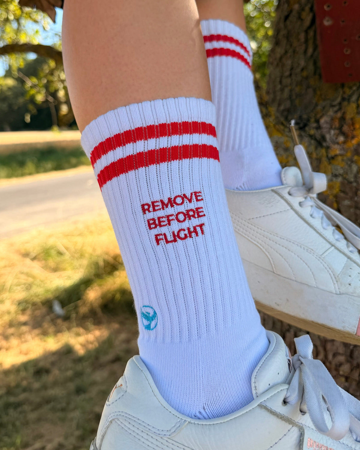 REMOVE BEFORE FLIGHT - Socks