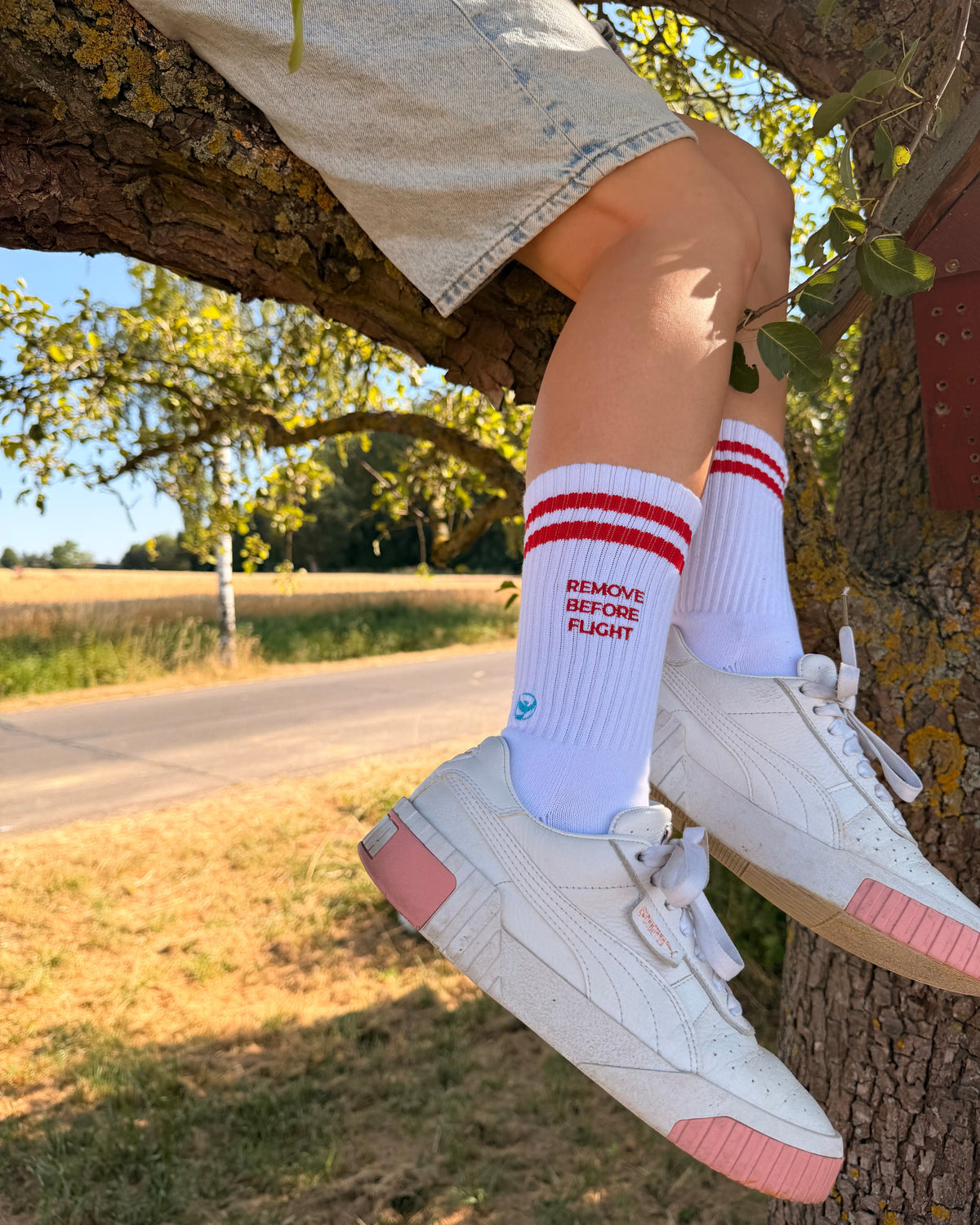 REMOVE BEFORE FLIGHT - Socks