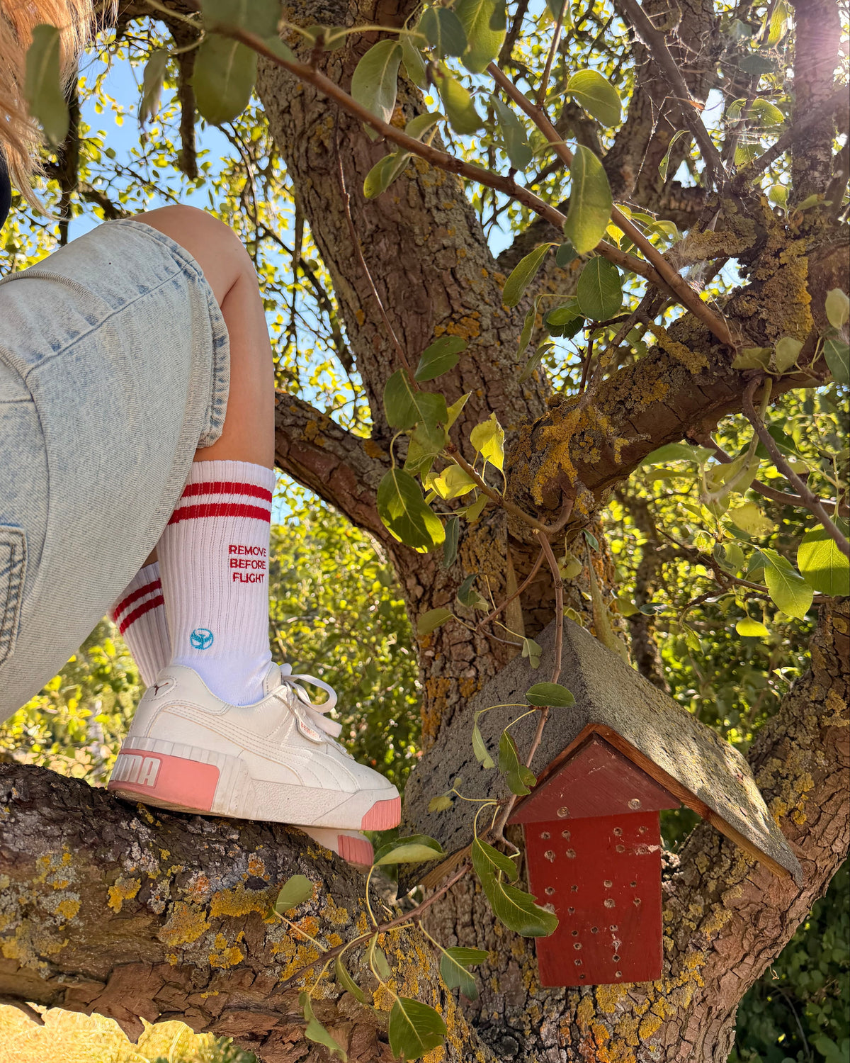 REMOVE BEFORE FLIGHT - Socks